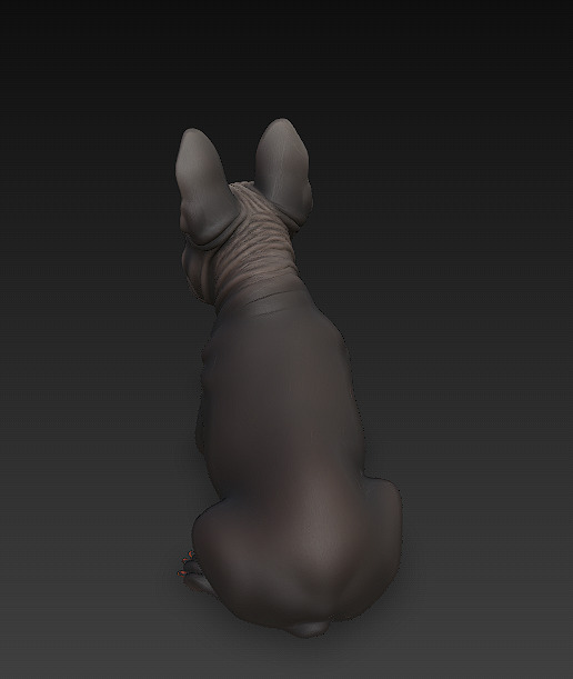 French Bulldog Dog Realistic 3D Model - Low Poly Realistic Low-poly 3D model_3