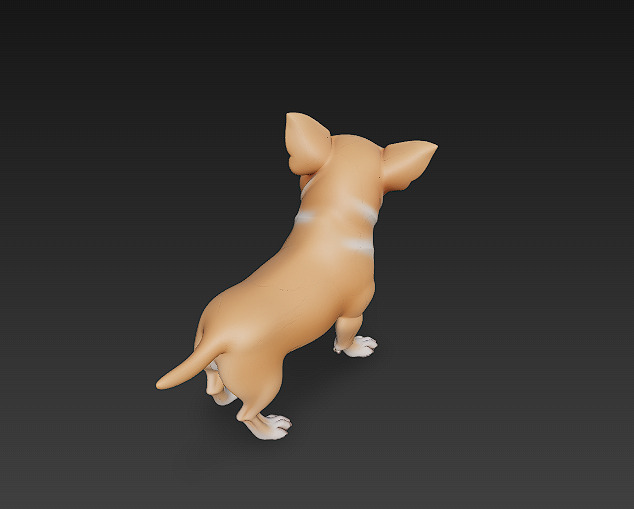 Chihuahua Dog Realistic 3D Model - Low Poly Realistic Low-poly 3D model_4