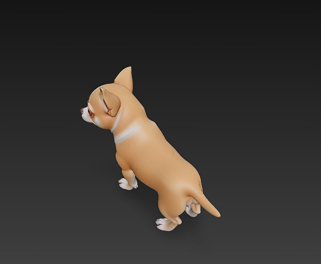 Chihuahua Dog Realistic 3D Model - Low Poly Realistic Low-poly 3D model_5