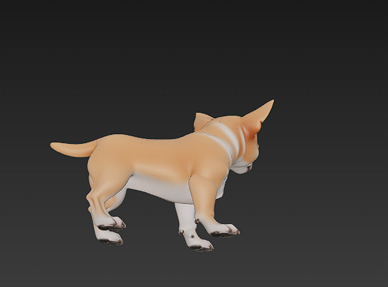 Chihuahua Dog Realistic 3D Model - Low Poly Realistic Low-poly 3D model_7
