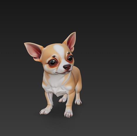 Chihuahua Dog Realistic 3D Model - Low Poly Realistic Low-poly 3D model_2