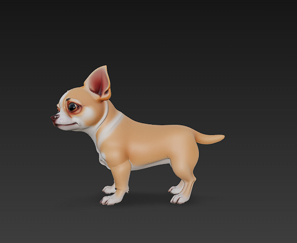 Chihuahua Dog Realistic 3D Model - Low Poly Realistic Low-poly 3D model_3