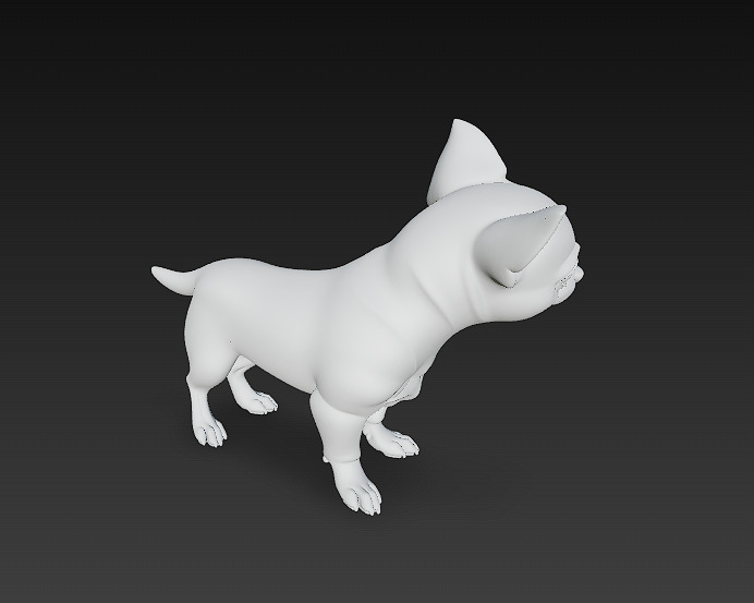Chihuahua Dog Realistic 3D Model - Low Poly Realistic Low-poly 3D model_14