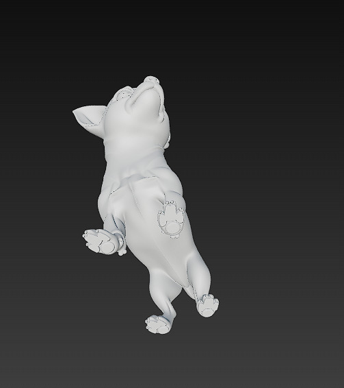 Chihuahua Dog Realistic 3D Model - Low Poly Realistic Low-poly 3D model_17