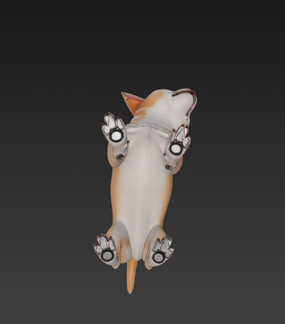 Chihuahua Dog Realistic 3D Model - Low Poly Realistic Low-poly 3D model_9
