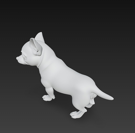 Chihuahua Dog Realistic 3D Model - Low Poly Realistic Low-poly 3D model_12