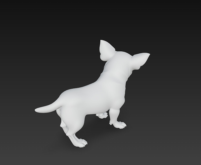 Chihuahua Dog Realistic 3D Model - Low Poly Realistic Low-poly 3D model_13