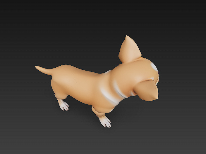 Chihuahua Dog Realistic 3D Model - Low Poly Realistic Low-poly 3D model_6