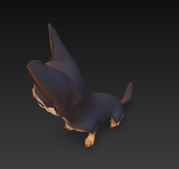 Chihuahua Dog Realistic 3D Model - Low Poly Realistic Low-poly 3D model_7