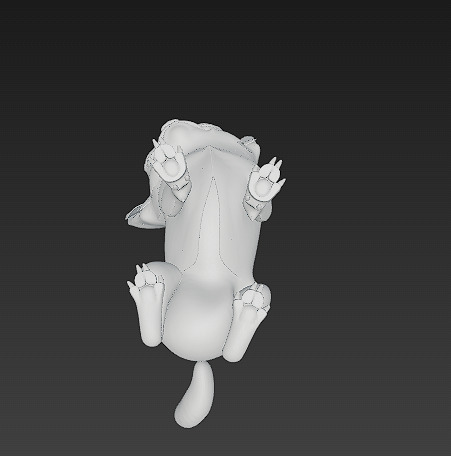 Chihuahua Dog Realistic 3D Model - Low Poly Realistic Low-poly 3D model_17