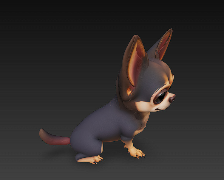 Chihuahua Dog Realistic 3D Model - Low Poly Realistic Low-poly 3D model_4