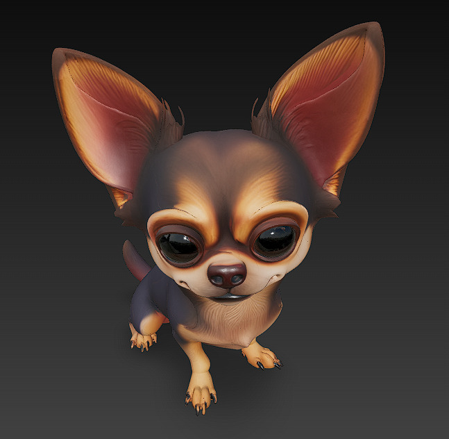 Chihuahua Dog Realistic 3D Model - Low Poly Realistic Low-poly 3D model_1