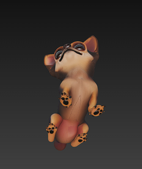 Chihuahua Dog Realistic 3D Model - Low Poly Realistic Low-poly 3D model_9