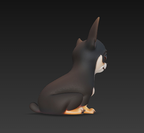 Chihuahua Dog Realistic 3D Model - Low Poly Realistic Low-poly 3D model_7