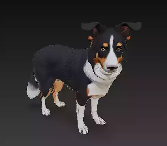 Border Collie Dog Realistic 3D Model - Low Poly Realistic Low-poly 3D model