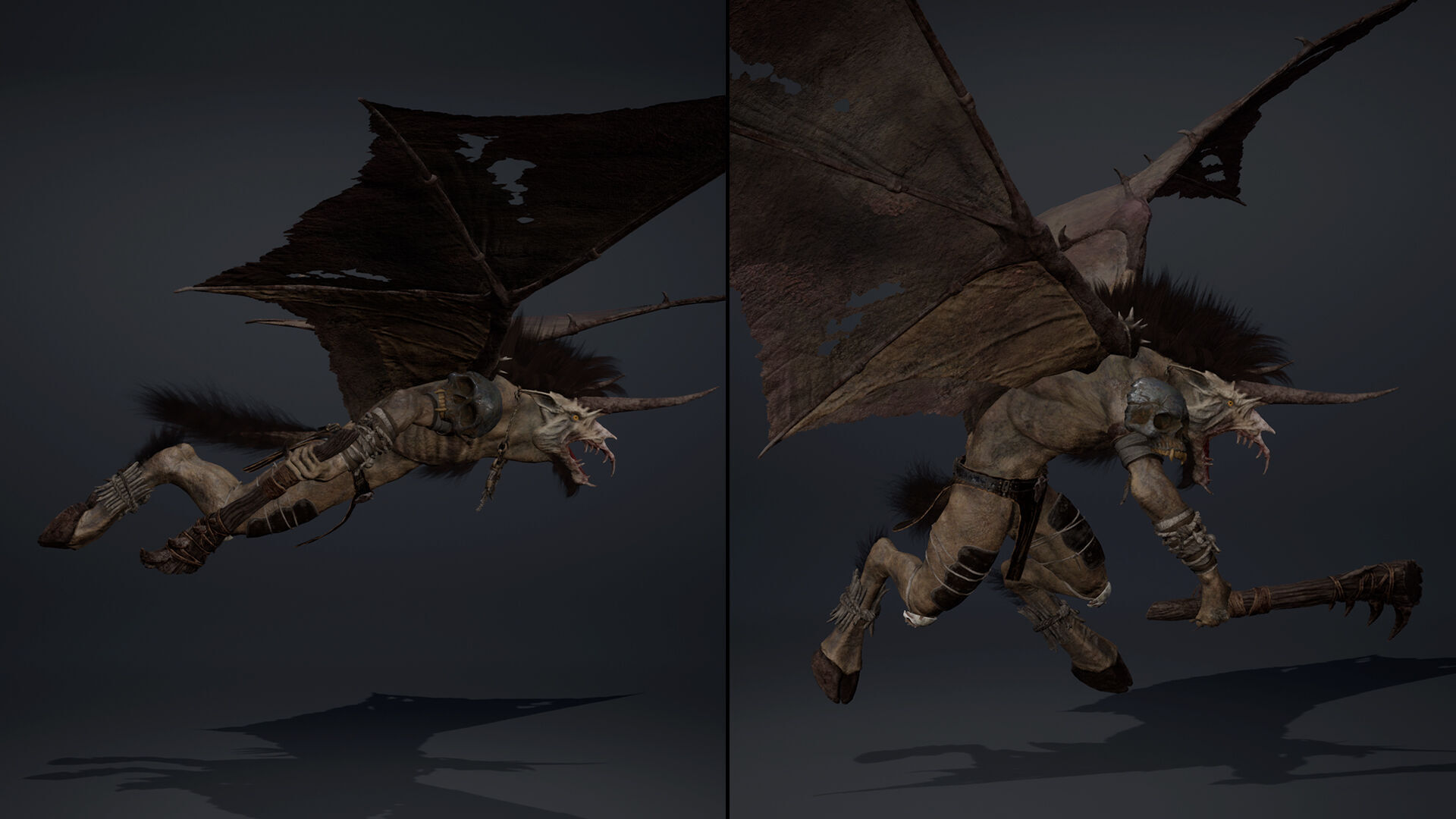 Ashenwing Furry Low-poly 3D model_17