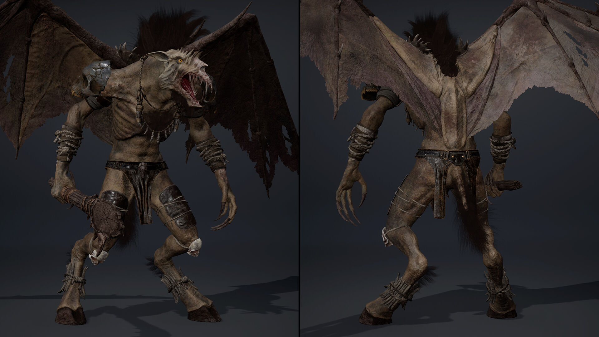 Ashenwing Furry Low-poly 3D model_5