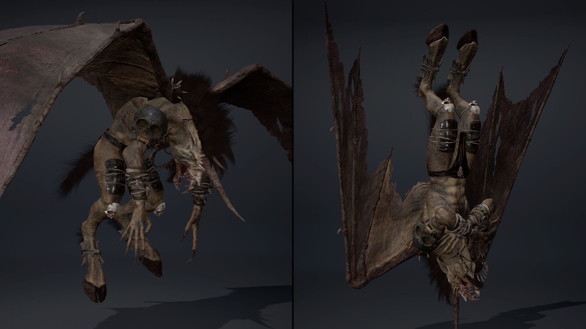 Ashenwing Furry Low-poly 3D model_18