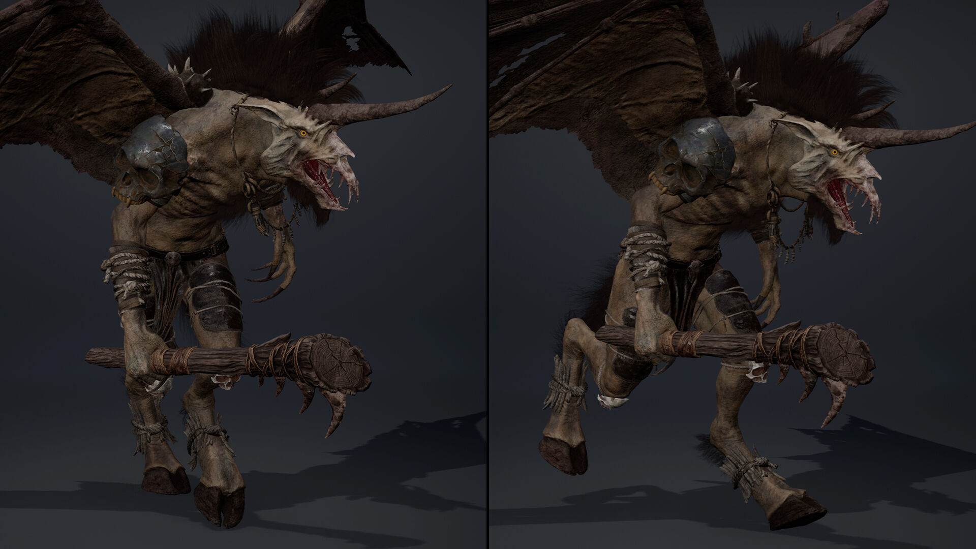 Ashenwing Furry Low-poly 3D model_24