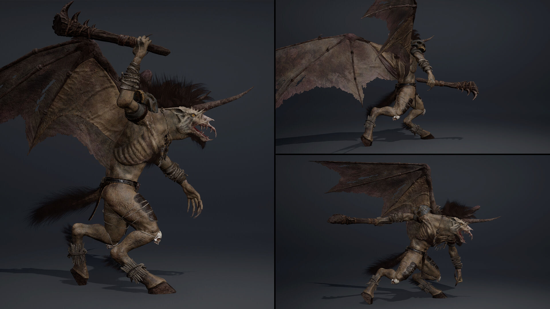 Ashenwing Furry Low-poly 3D model_8