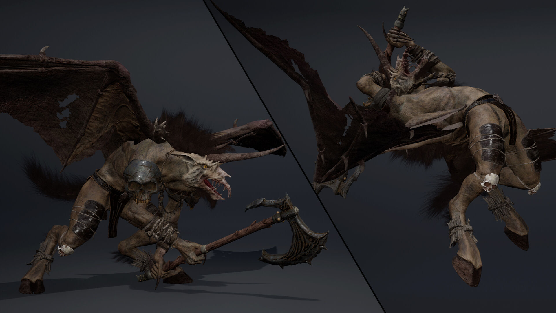 Ashenwing Furry Low-poly 3D model_20