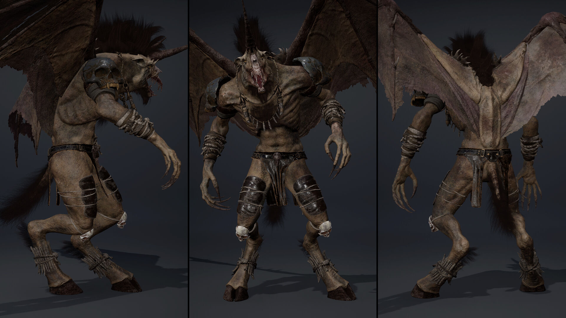 Ashenwing Furry Low-poly 3D model_13