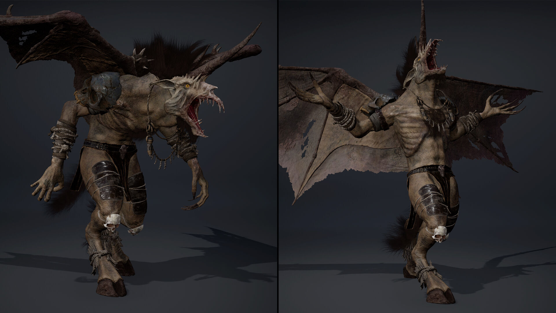 Ashenwing Furry Low-poly 3D model_19