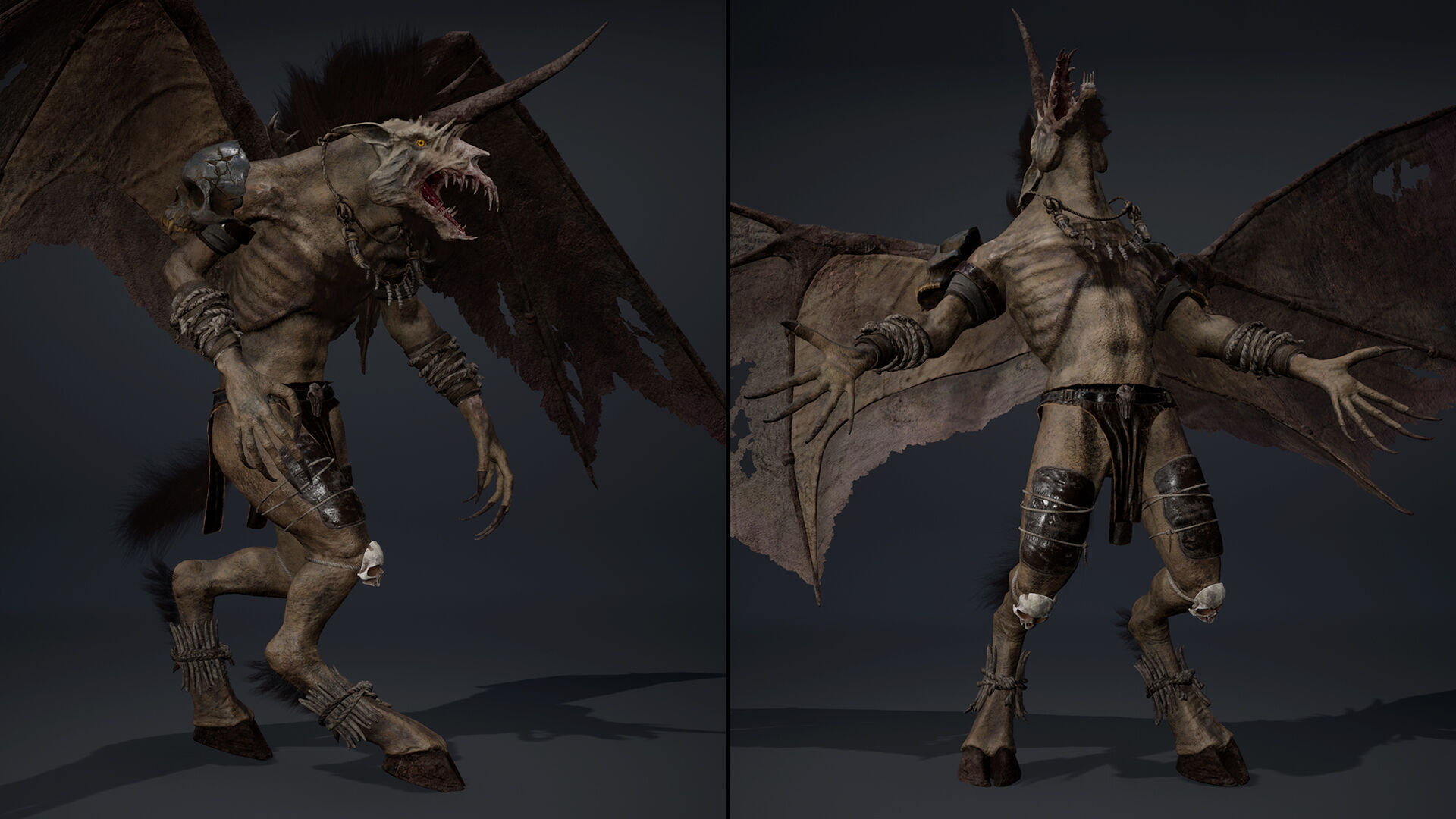 Ashenwing Furry Low-poly 3D model_22