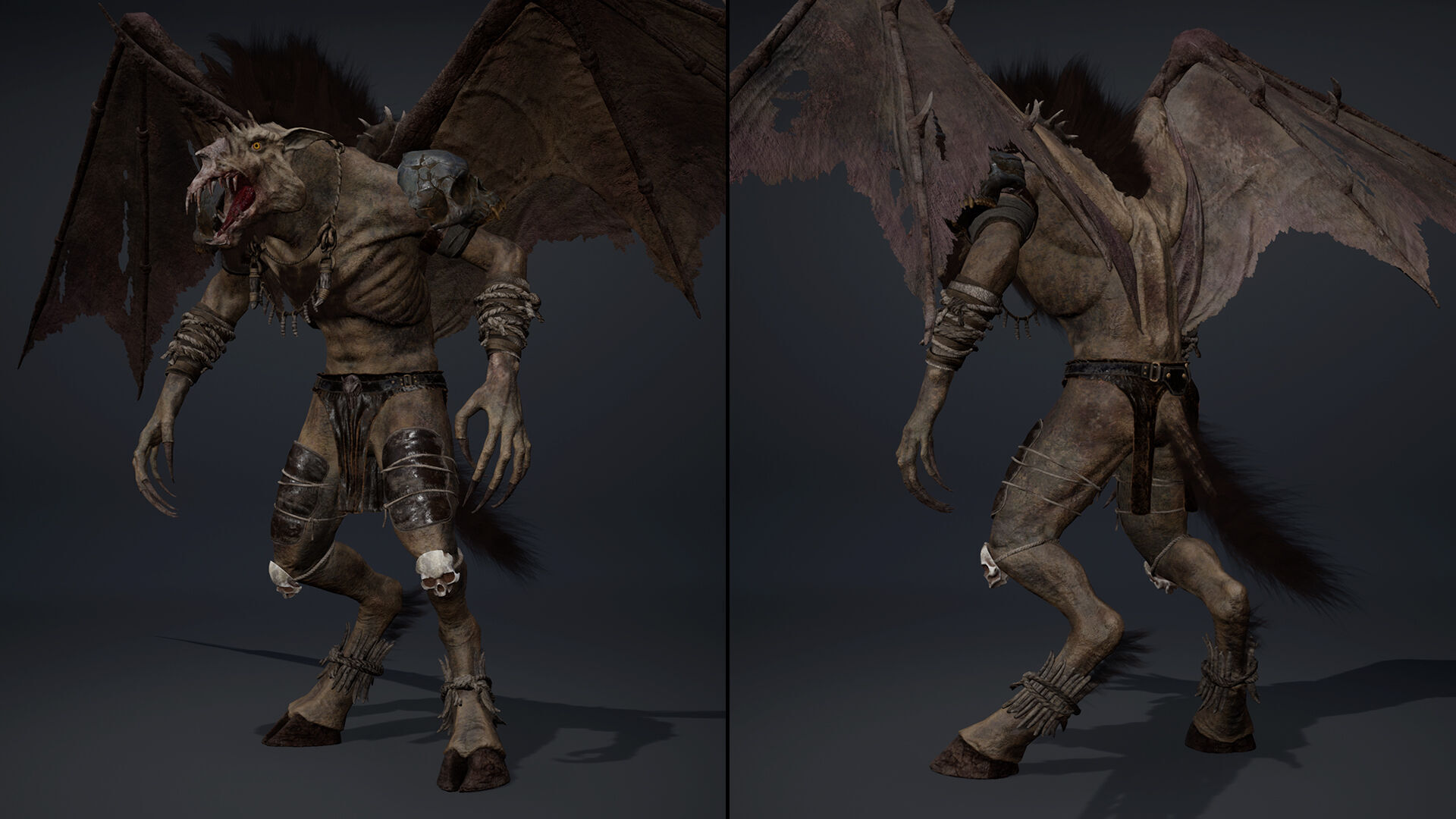 Ashenwing Furry Low-poly 3D model_21