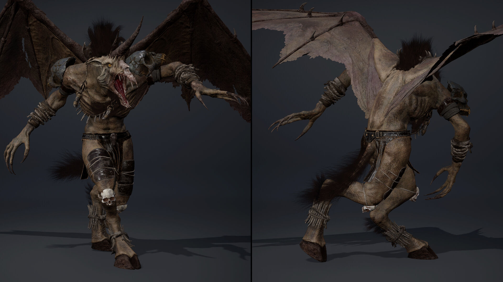 Ashenwing Furry Low-poly 3D model_16