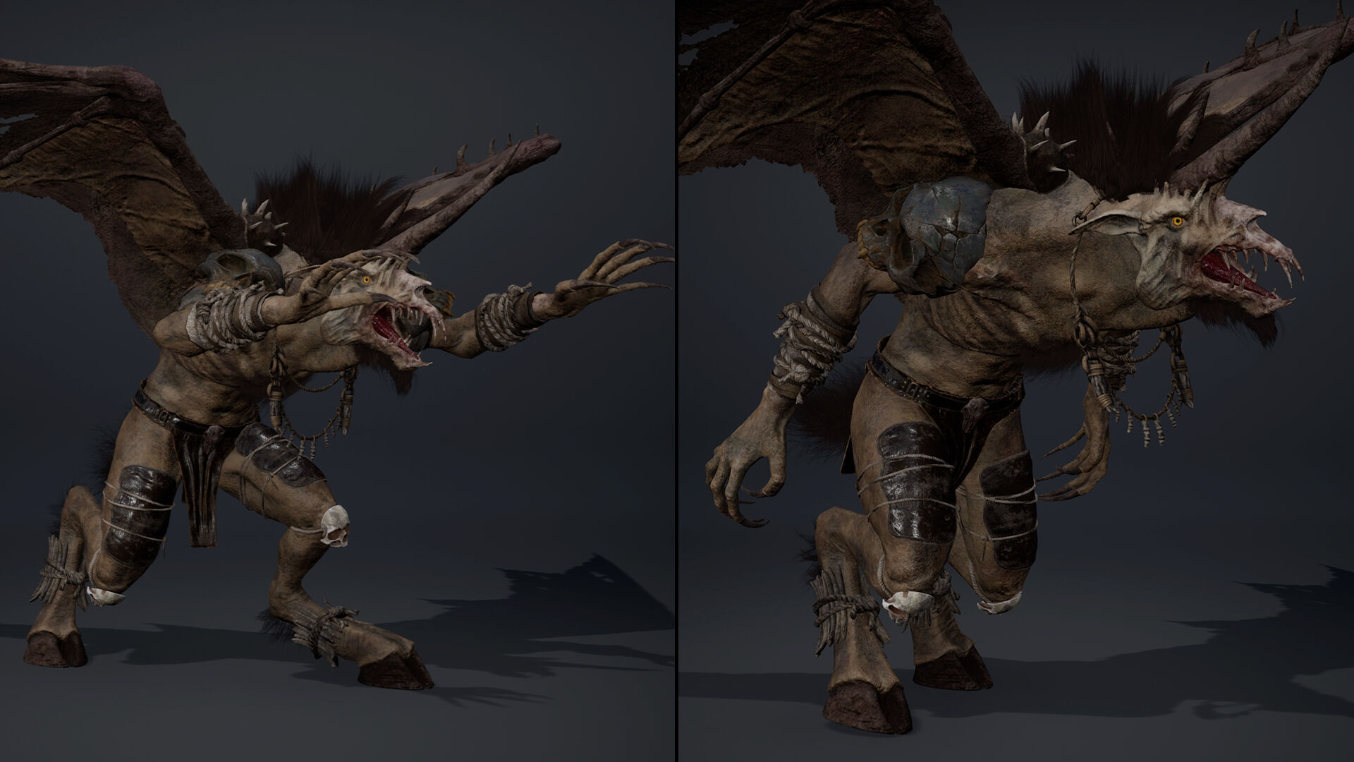 Ashenwing Furry Low-poly 3D model_15