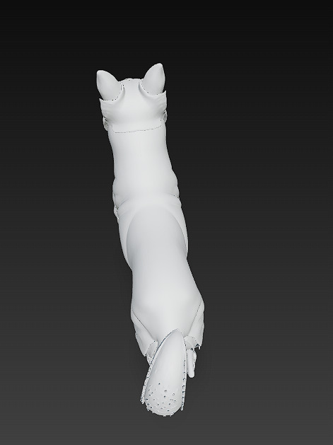 Dog Realistic 3D Model - Low Poly Realistic Low-poly 3D model_18