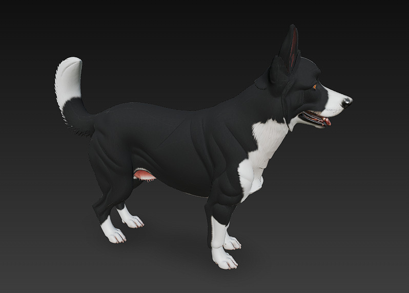 Dog Realistic 3D Model - Low Poly Realistic Low-poly 3D model_3