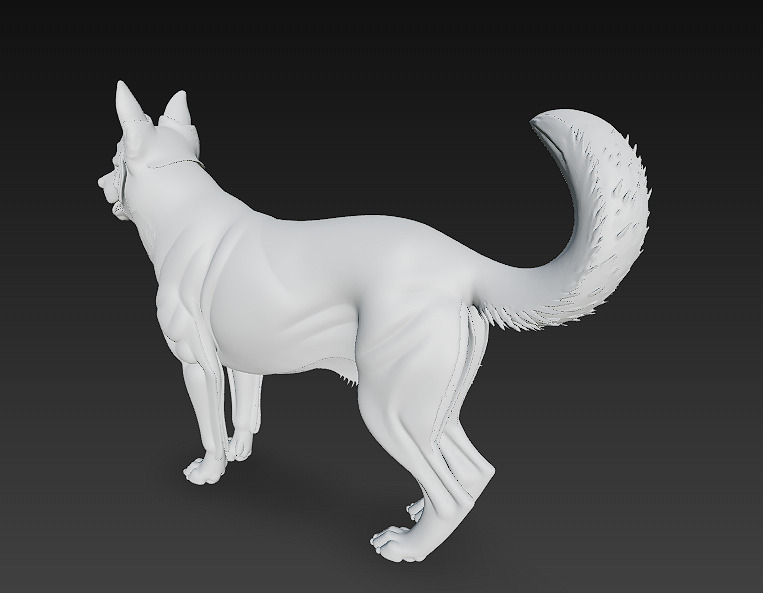 Dog Realistic 3D Model - Low Poly Realistic Low-poly 3D model_13