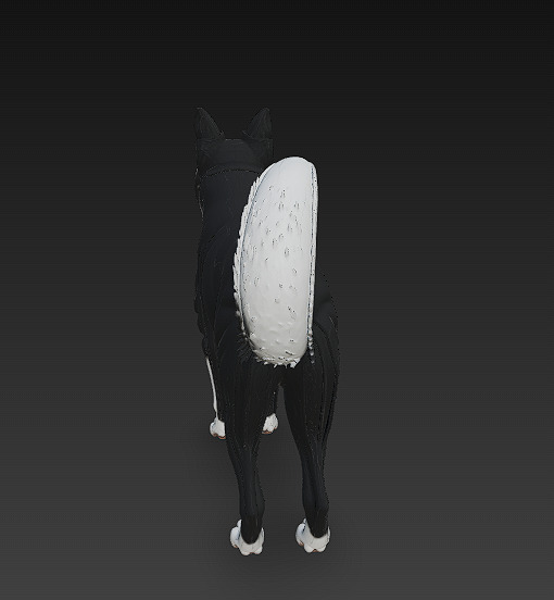 Dog Realistic 3D Model - Low Poly Realistic Low-poly 3D model_7
