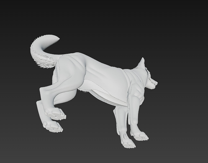 Dog Realistic 3D Model - Low Poly Realistic Low-poly 3D model_15