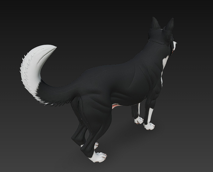 Dog Realistic 3D Model - Low Poly Realistic Low-poly 3D model_4
