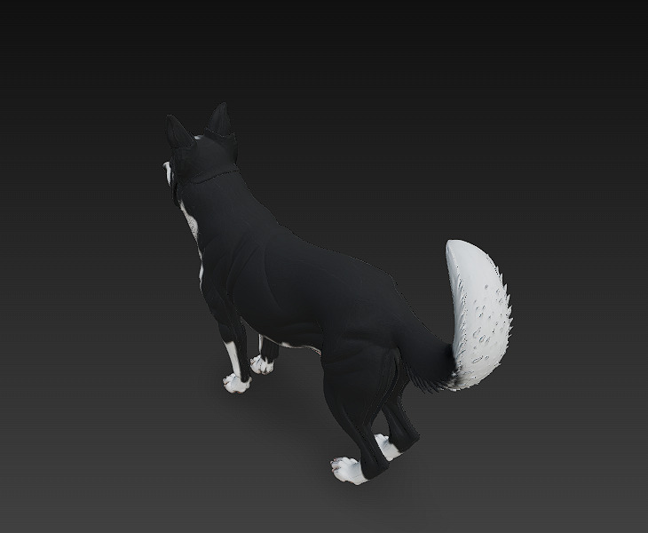 Dog Realistic 3D Model - Low Poly Realistic Low-poly 3D model_5