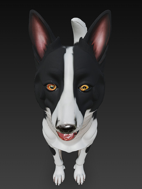 Dog Realistic 3D Model - Low Poly Realistic Low-poly 3D model_2