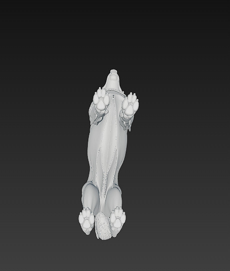 Dog Realistic 3D Model - Low Poly Realistic Low-poly 3D model_17