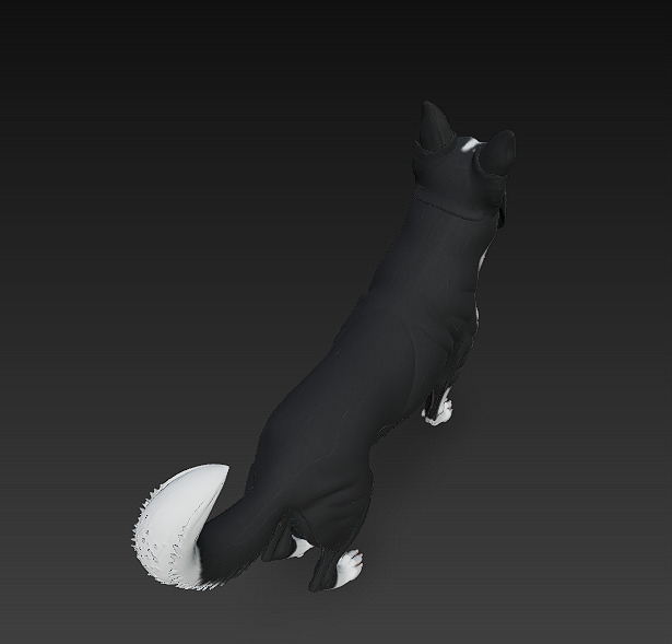 Dog Realistic 3D Model - Low Poly Realistic Low-poly 3D model_8