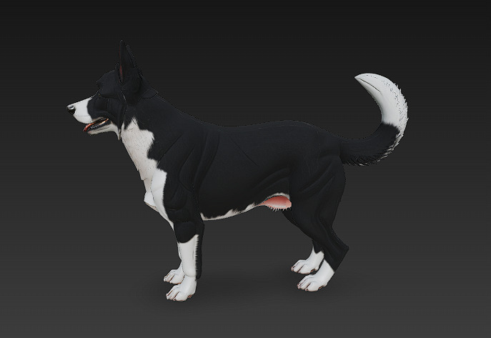 Dog Realistic 3D Model - Low Poly Realistic Low-poly 3D model_6
