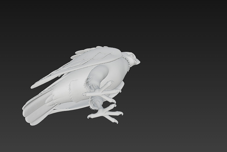 Eagle Realistic 3D Model - Low Poly Realistic Low-poly 3D model_16