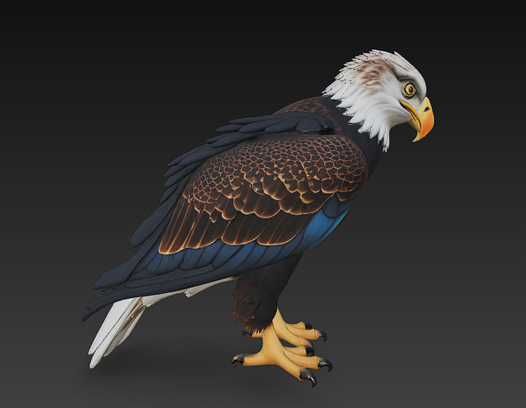 Eagle Realistic 3D Model - Low Poly Realistic Low-poly 3D model_2