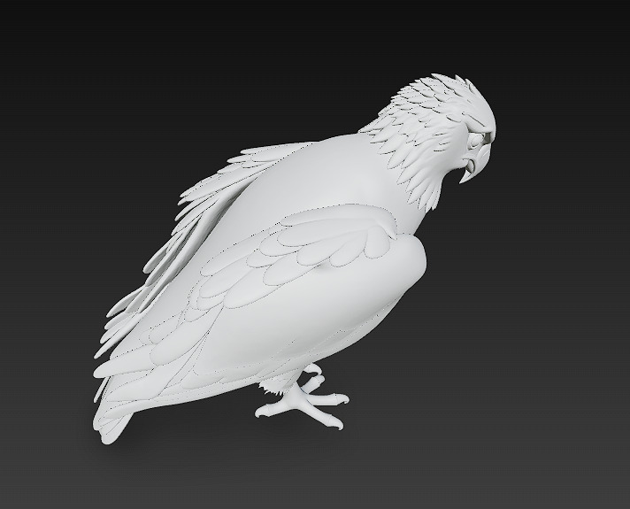 Eagle Realistic 3D Model - Low Poly Realistic Low-poly 3D model_14
