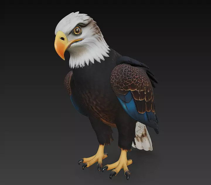 Eagle Realistic 3D Model - Low Poly Realistic Low-poly 3D model_0