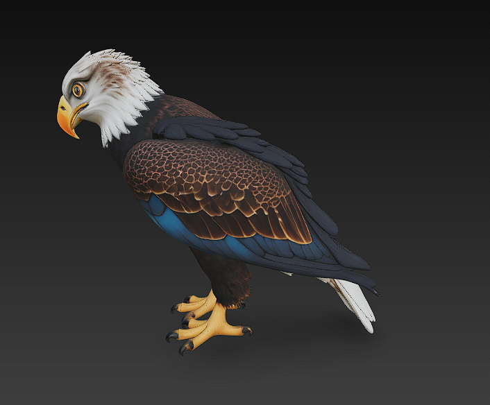 Eagle Realistic 3D Model - Low Poly Realistic Low-poly 3D model_6
