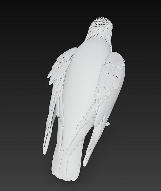 Eagle Realistic 3D Model - Low Poly Realistic Low-poly 3D model_12