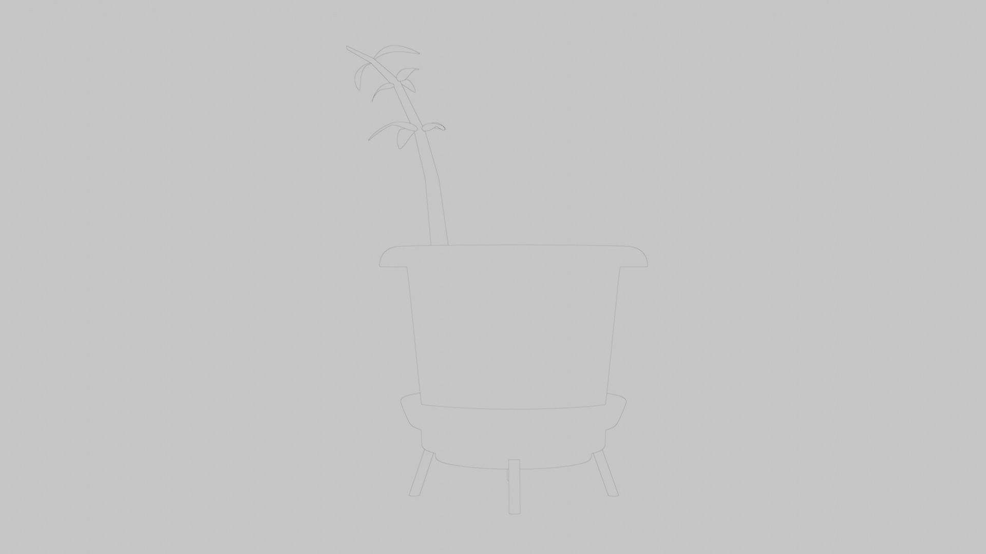 Pot Plant Low-poly 3D model_9