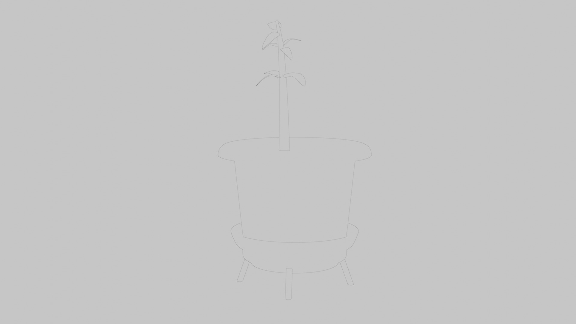 Pot Plant Low-poly 3D model_11